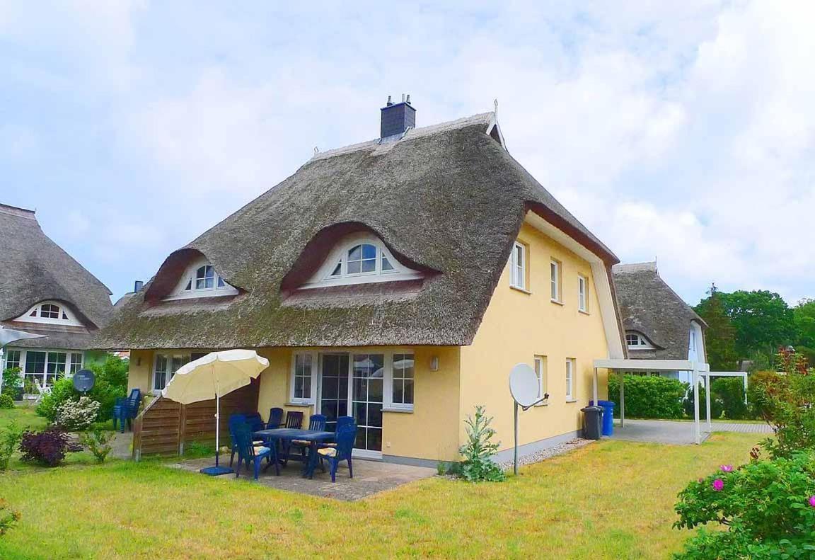 Ferienhaus An Der Alten Waldschaenke Ws-11A Born Exterior foto